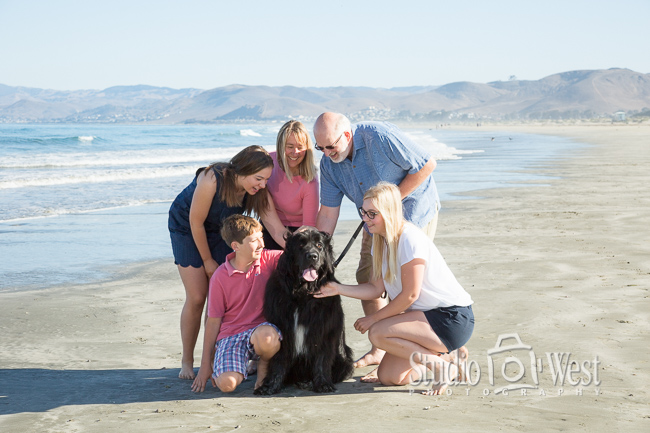 Vacation Family Portrait with Newfoundland Dog on Beach - Studio 101 West Photography