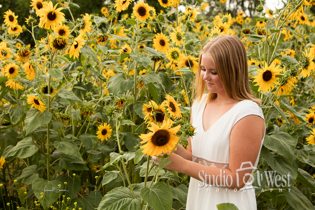 Sophies Sunflowers - Senior Photography - Central Coast Photographer - Studio 101 West Photography