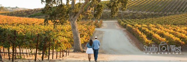 paso robles vineyard portraits engagememt couple in vineyard