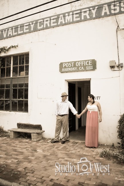 Harmony Post Office Goodby Cambria Wedding Photographer