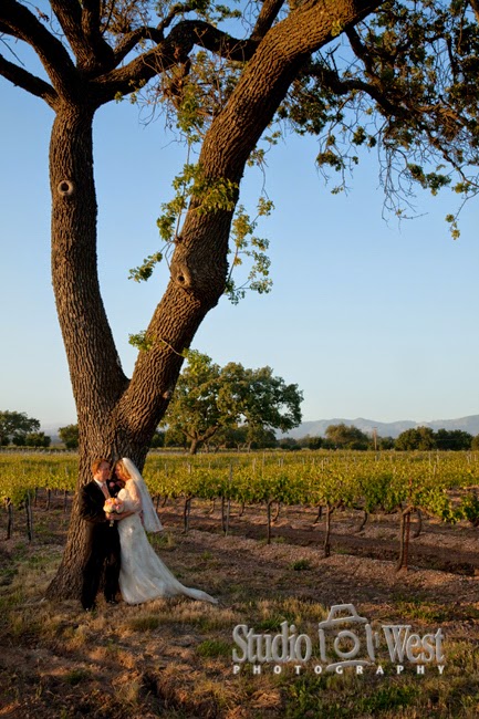 Firestone Winery - Bride and Groom in Vineyard - studio101west photography Firestone Vineyard - San Luis Obispo Wedding Photographer - Santa Barbara County Wedding Venues - studio 101 west