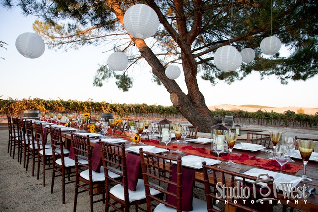 J & J Cellars Winery - Vineyard Wedding Reception - studio101west photography J & J Cellars Winery Photography - Paso Robles Wedding Photographer - Vineyard Wedding - Studio 101 West Photography