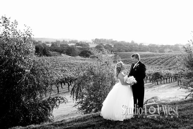 Eberle Winery - Bride and Groom in Vineyard - studio101west photography Eberle Winery - San Luis Obispo Wedding Photographer - Paso Robles Wedding Photographer - Studio 101 West Photography