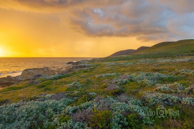 Haromony Headlands State Park Central Coast Stock Photography