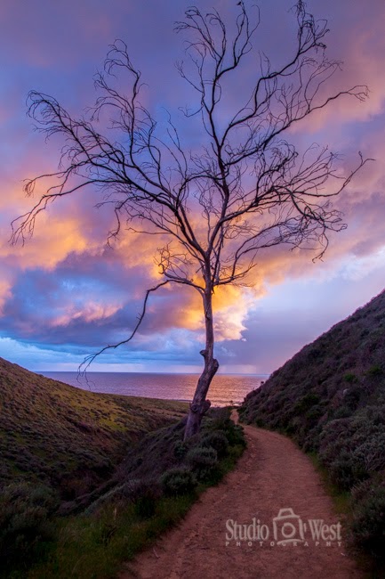 Haromony Headlands State Park Central Coast Stock Photography