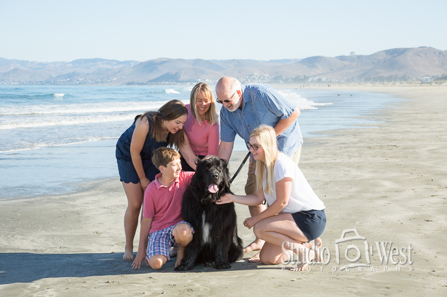 Family Portrait with Dog Vacation Family Portrait with Newfoundland Dog on Beach - Studio 101 West Photography