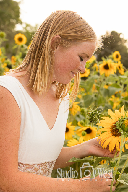 Sun Flower Senior Photos Senior Portrait - Sun Flowers - Summer Senior Pictures - Studio 101 West Photography