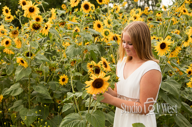 Sunflower Portrait - Senior Class of 2017 Sophies Sunflowers - Senior Photography - Central Coast Photographer - Studio 101 West Photography