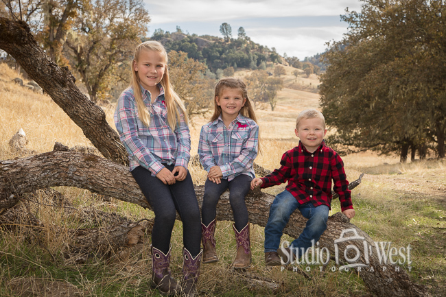 Grandkids Sitting in a Tree Portrait Outdoor Family Portrait - Paso Robles Kids Portraits - Studio 101 West Photography